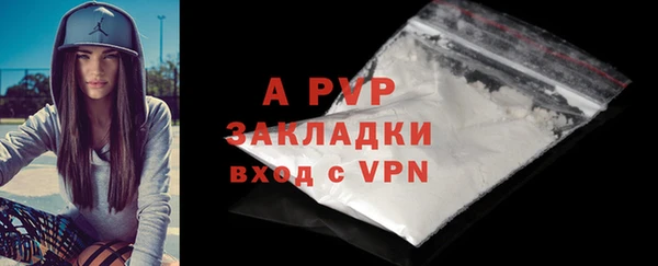 сатива Вязьма