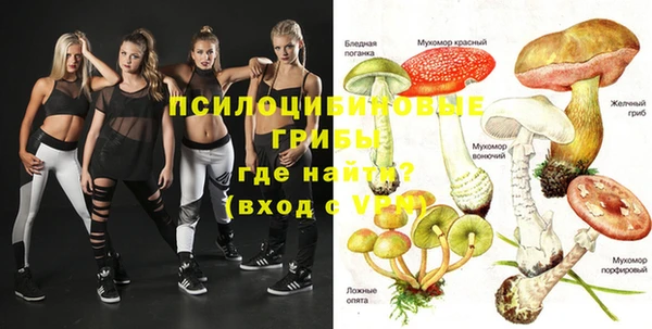 сатива Вязьма