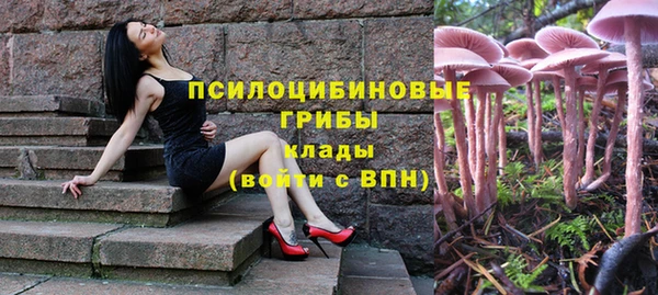 a pvp Вяземский
